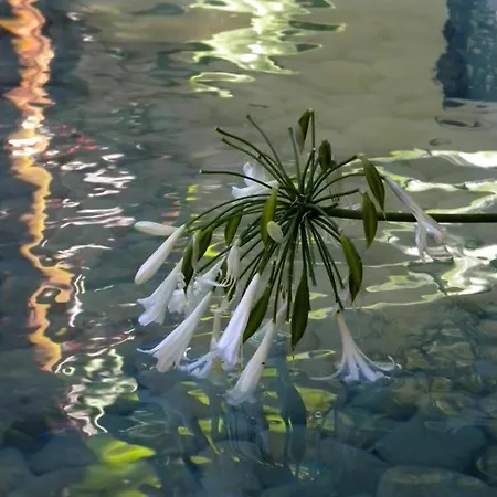 骑士精神精品酒店 酒店