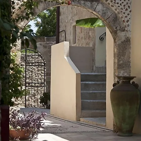 Spirit Of The Knights Boutique