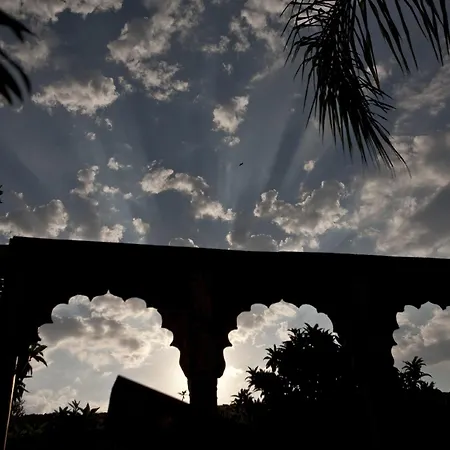 Spirit Of The Knights Boutique