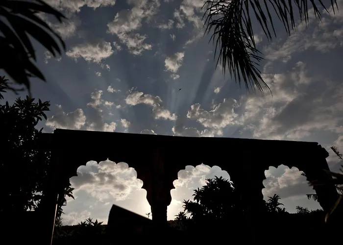 Spirit Of The Knights Boutique